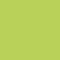 0024 Bamboo