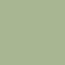 0044 Sage