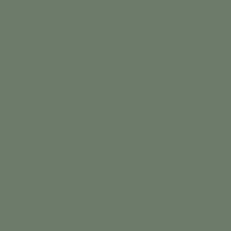 0045 Fern